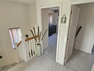 Picture 23